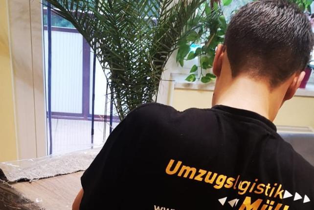 Laborumzug Niederfrohna stressfrei umziehen 